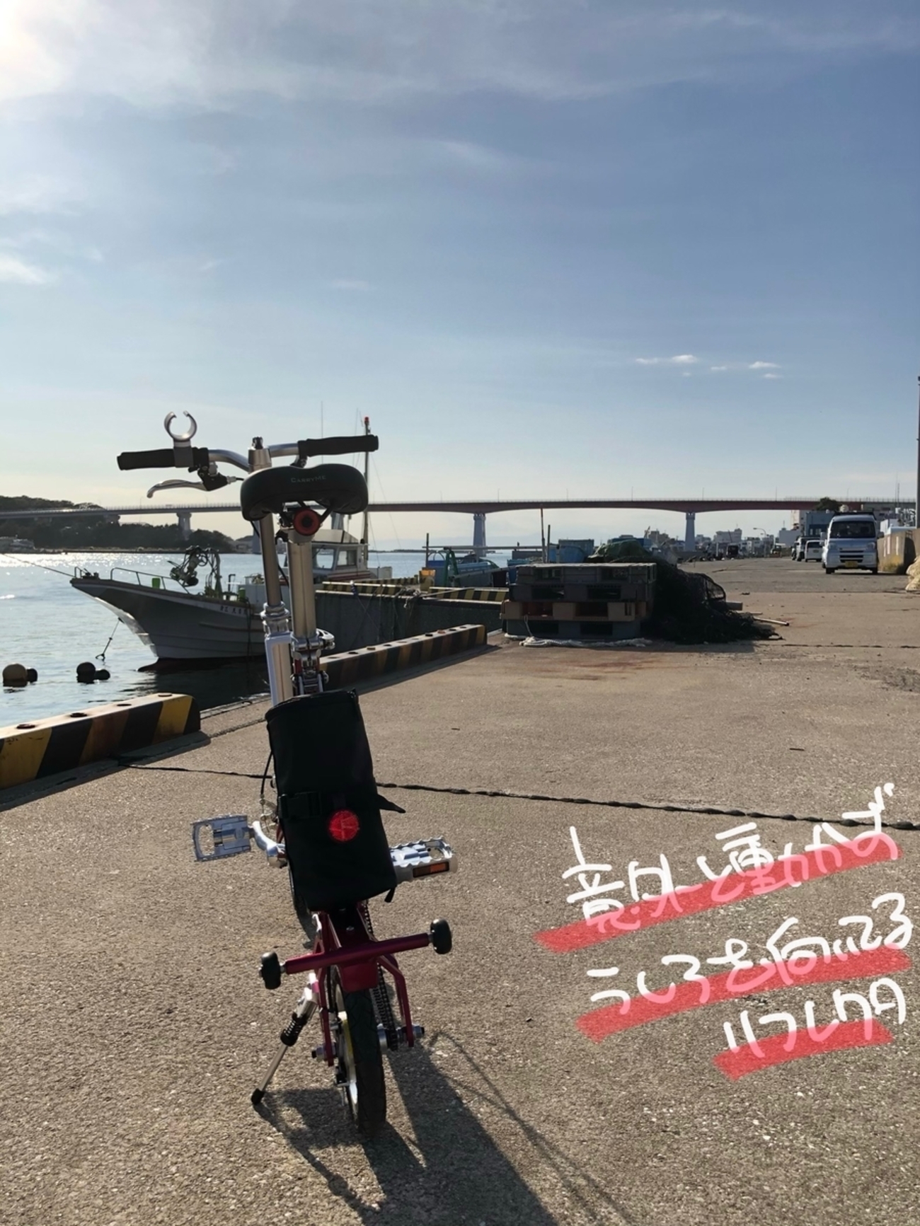 【CarryMe】カスタムピンク(譲渡証明書,ライト,チェーン,空気ポンプ付) 2023年・室内保管・カスタム＞キャリーミー carry me 自転車