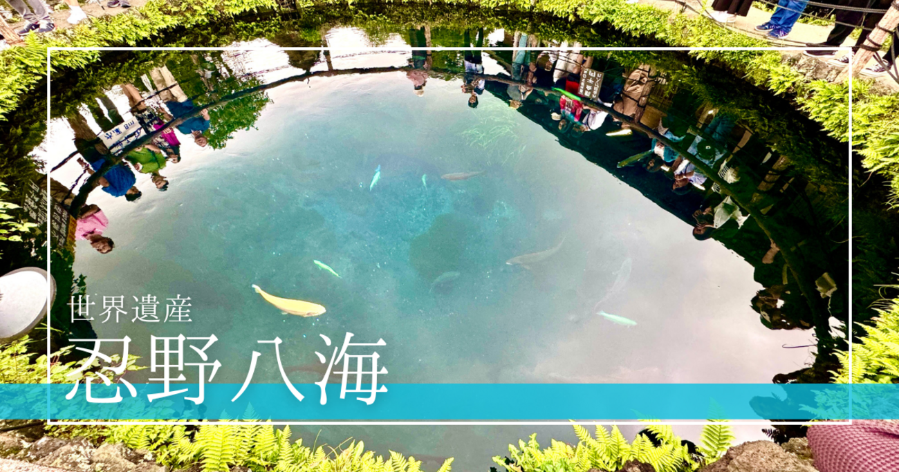 深い森の湧水湖　ジオラマ 深い森の湧水湖 ジオラマ 模型・プラモデル