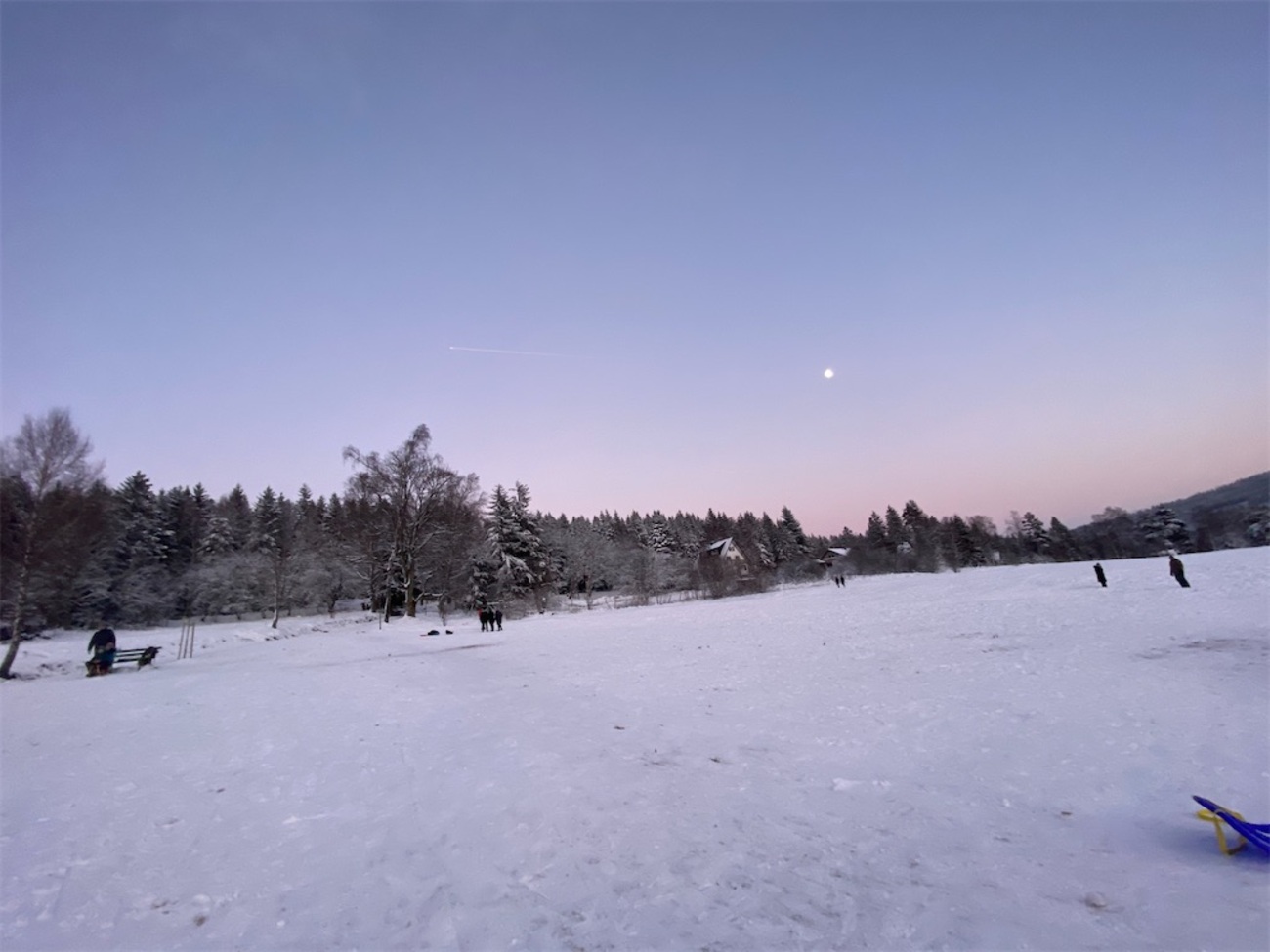 ドイツの王道 木製そりでの雪遊び - 海ポジ Rina's Blog