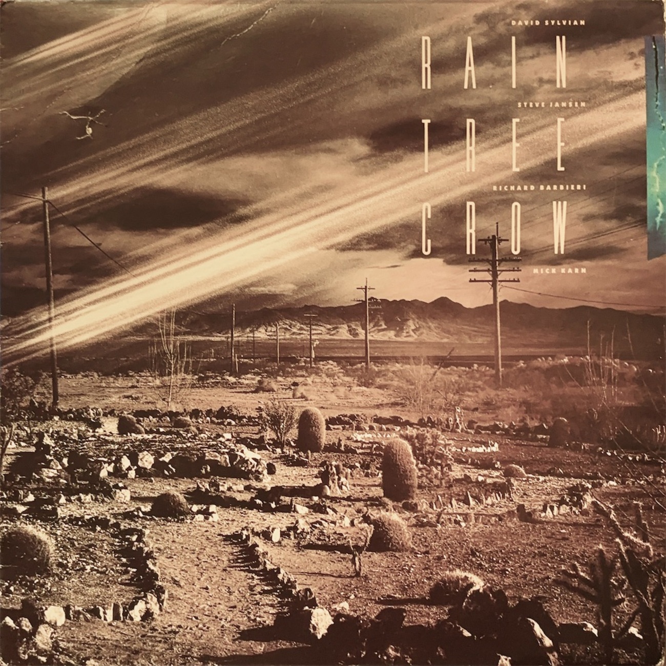 Rain Tree Crow / Rain Tree Crow【UK盤】 - レコード評議会