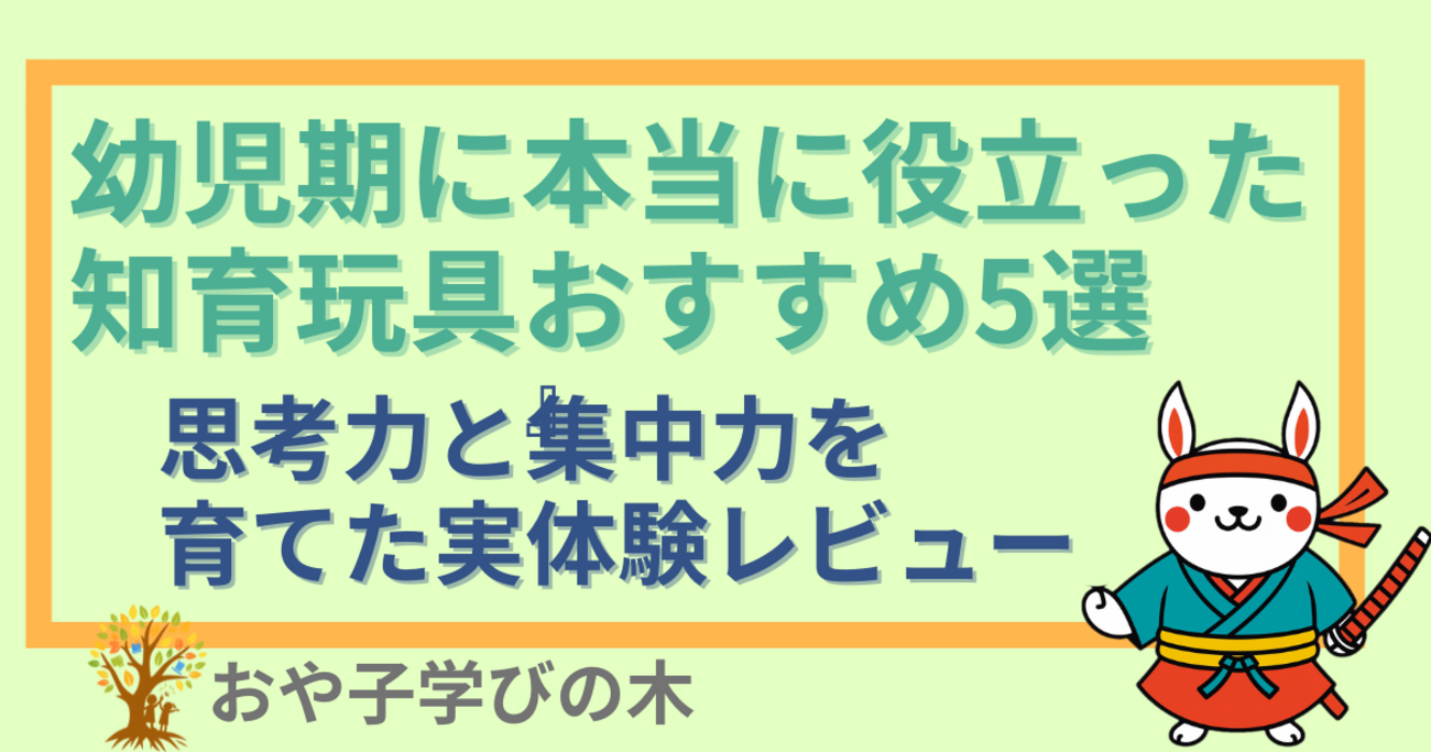幼児期に本当に役立った知育玩具おすすめ5選｜思考力と集中力を育てた 