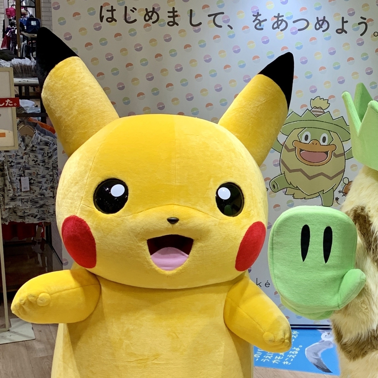 漫才ごっこピカチュウ：ポケモンセンターオーサカDX オープン記念 おい 