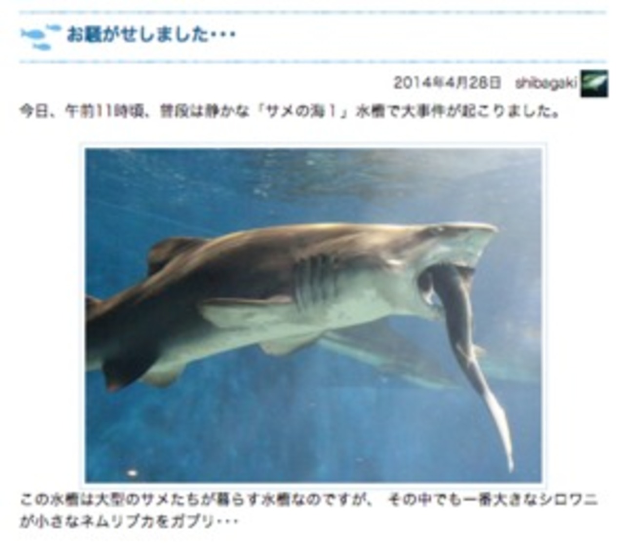 アクア ワールド 大洗 事件