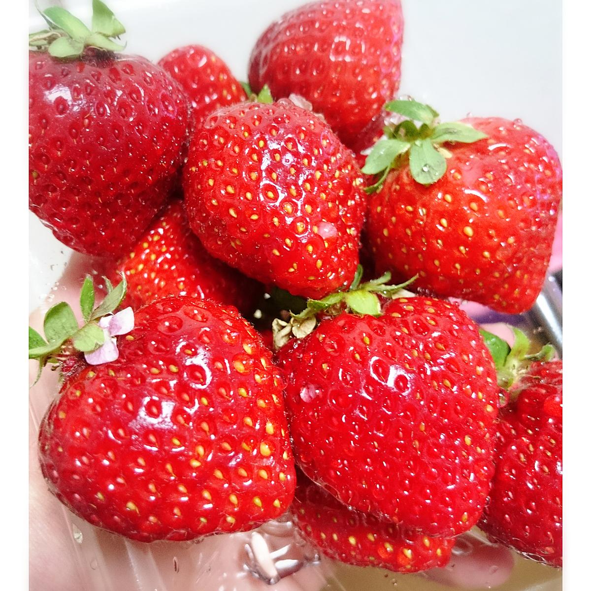 いちごとうふ