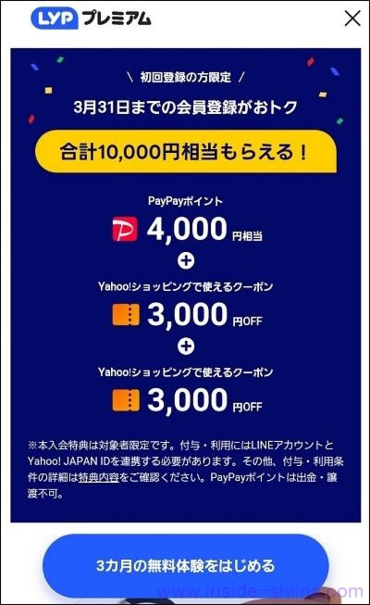 TezFiles Gold プレミアム公式プレミアムクーポン 30日間 入金確認後1分～24時間以内