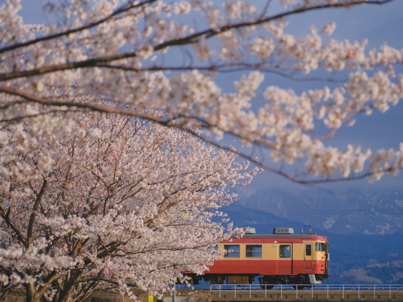 backend=imagemagick;version=1;