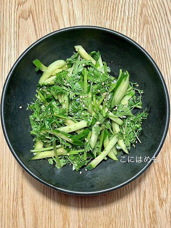 パクチーとは 食の人気 最新記事を集めました はてな