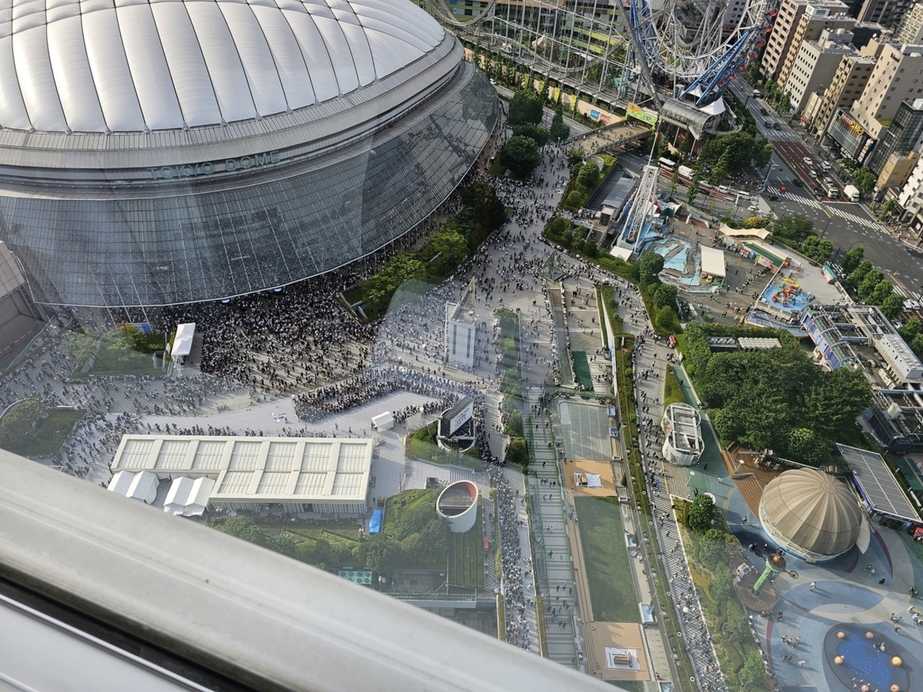 TOP4 in TOKYODOMEのための東京旅行備忘録2日目イベント開始 - 猫と 
