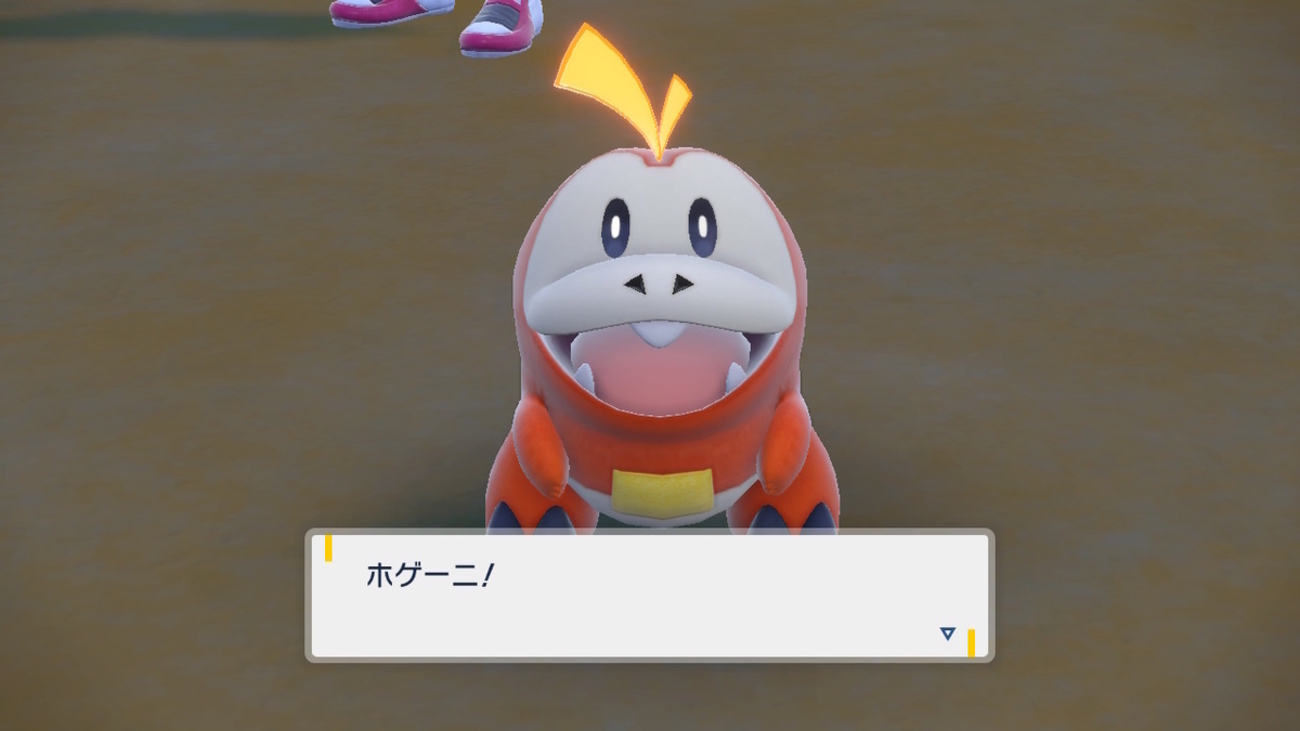 ポケモンについて語るその85 ホゲータ - とあるヒノアラシのブログ