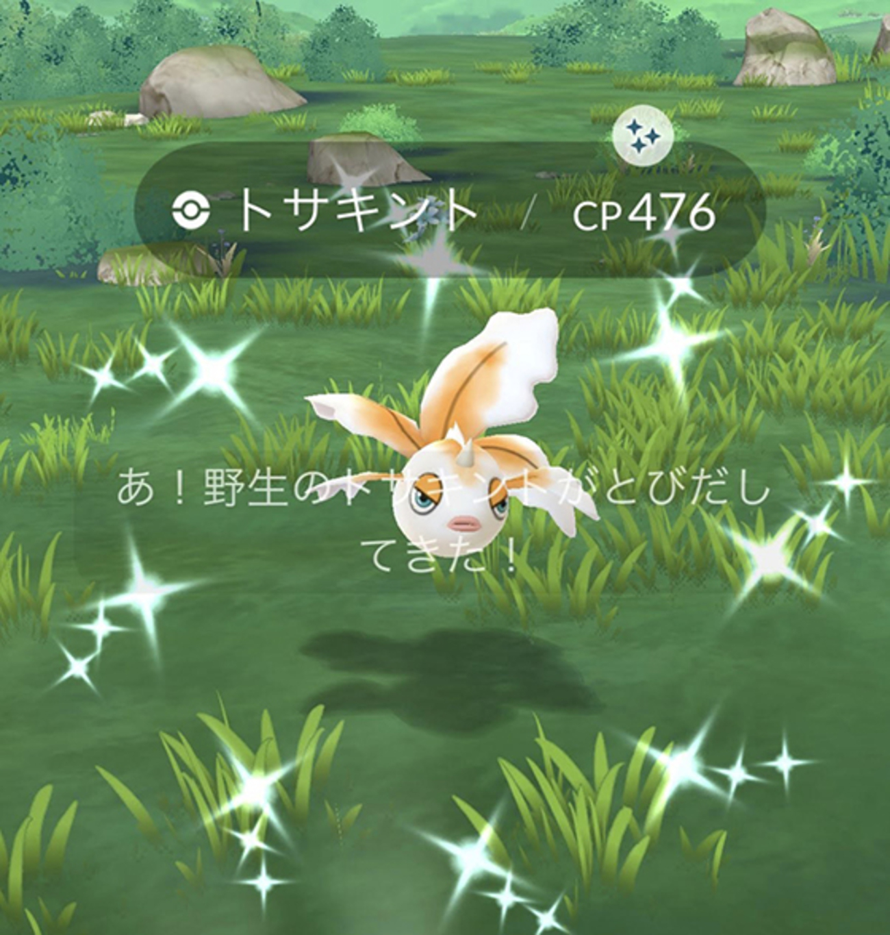 トサキントの色違いを初ゲット！ - pokemon go get!