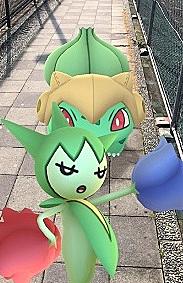 ロゼリアとは ゲームの人気 最新記事を集めました はてな