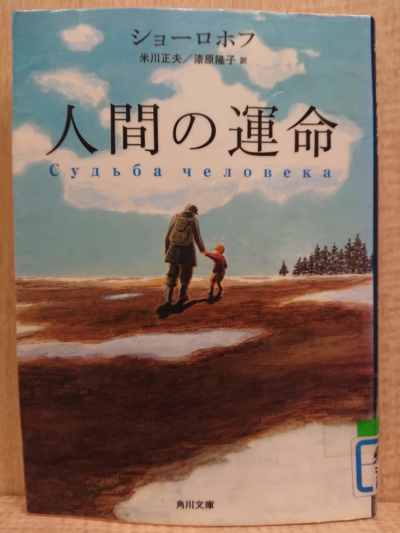 人間の運命』 by ショーロホフ - Megurecaのブログ