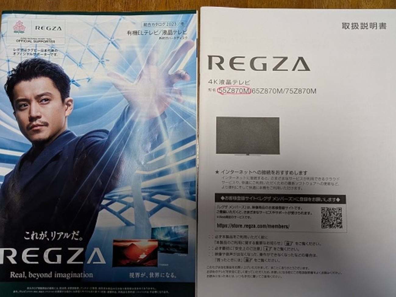 プラズマから液晶へ📺 - 獅子丸のモノローグ