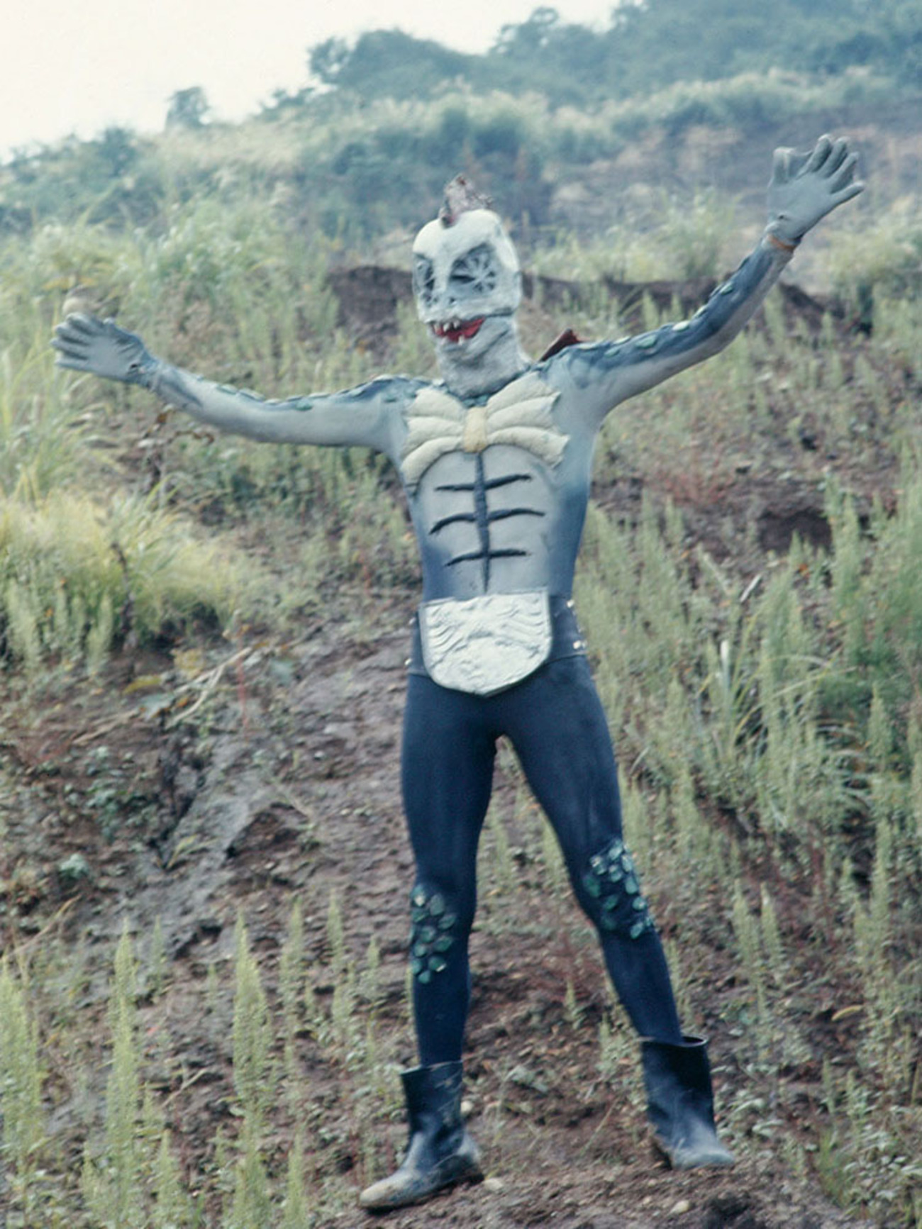 た*も様 仮面ライダー　ピラザウルス　スタンダード backend=imagemagick;version=1;