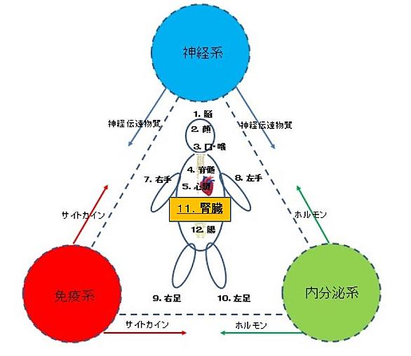 オールバニとは 地理の人気 最新記事を集めました はてな オールバニとは 地理の人気 最新記事を集めました はてな