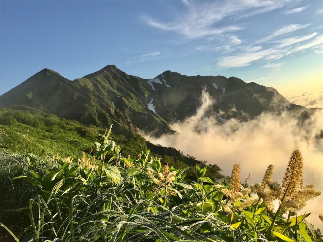 爺ヶ岳〜鹿島槍ヶ岳】2015年7月28〜29日 見どころ満載