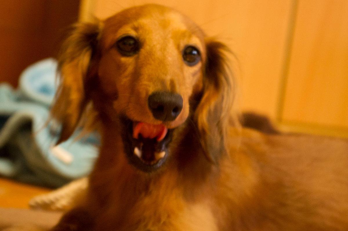 記事一覧 Rフェイススタジオ出張所