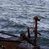 海へ