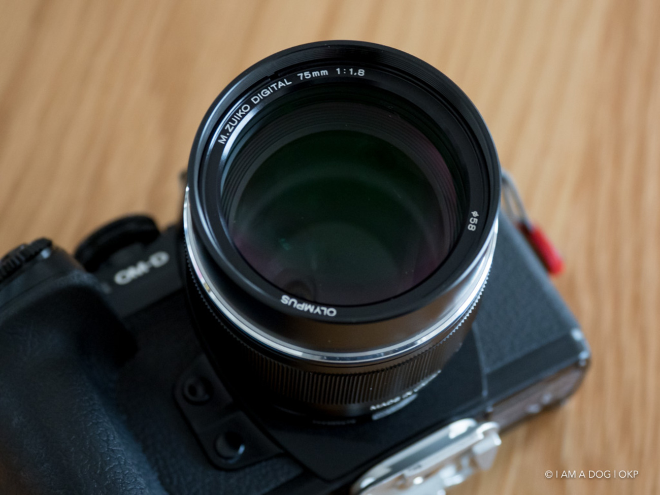 OLYMPUS M.ZUIKO DIGITAL ED 75mm F1.8はいつもと異なる視点が楽しく 
