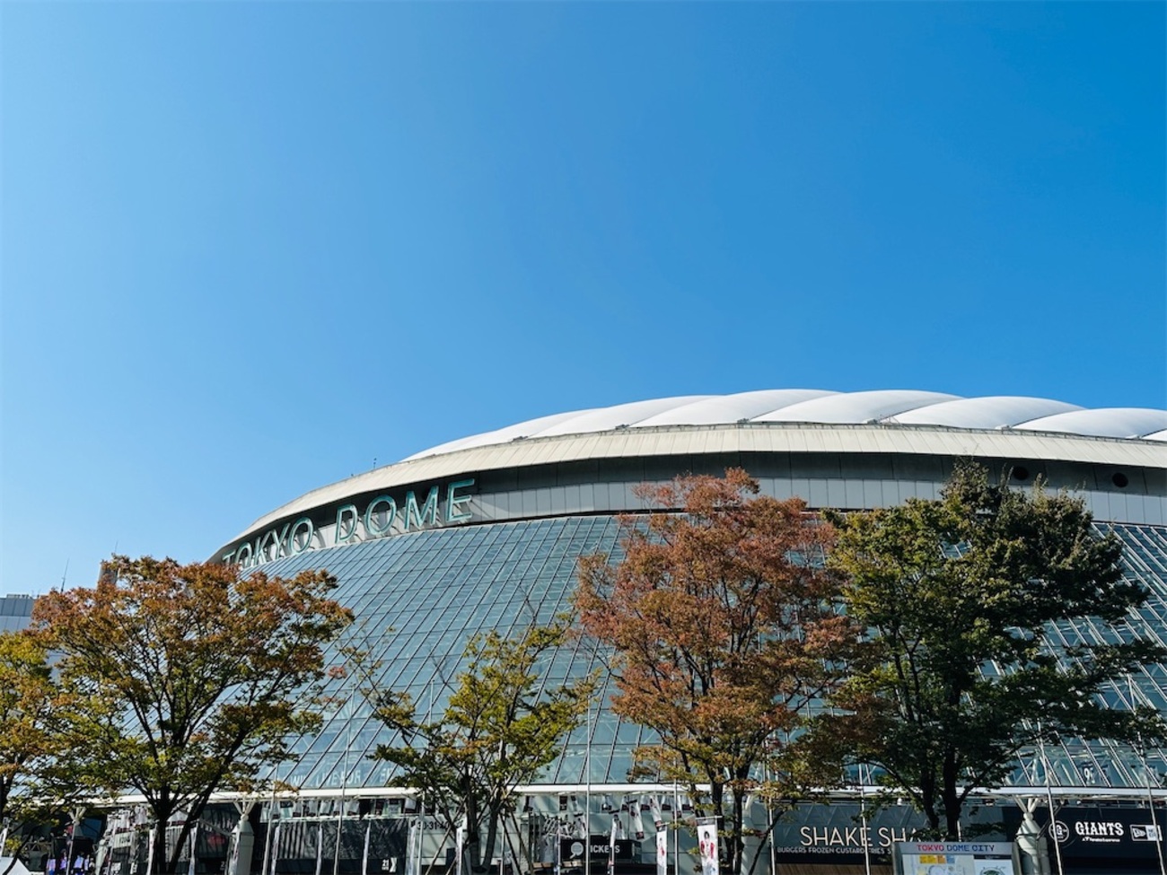 【ライブ】祝「Stray Kids 5-STAR Dome Tour 2023」完走！初めての東京ドーム公演を見届けて - The same Rainbow