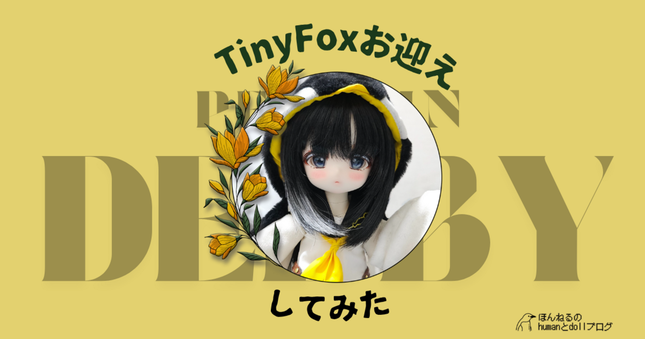 ドール17】tinyfoxペンギンちゃんをお迎えしたよ！！? - humanと 