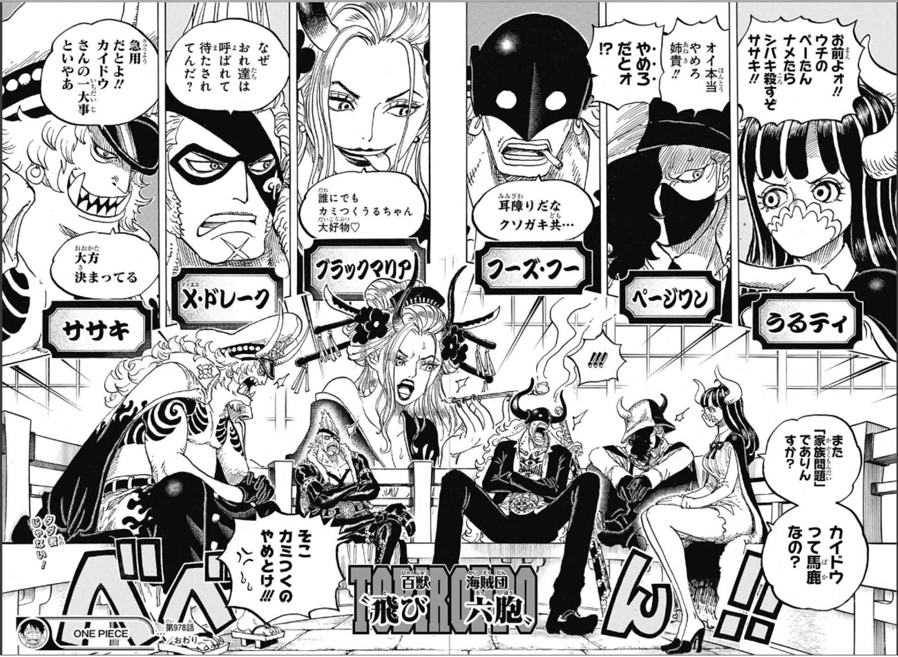 飛び六胞(とびろっぽう)百獣海賊団(ONEPIECE ワンピース) - 少年 