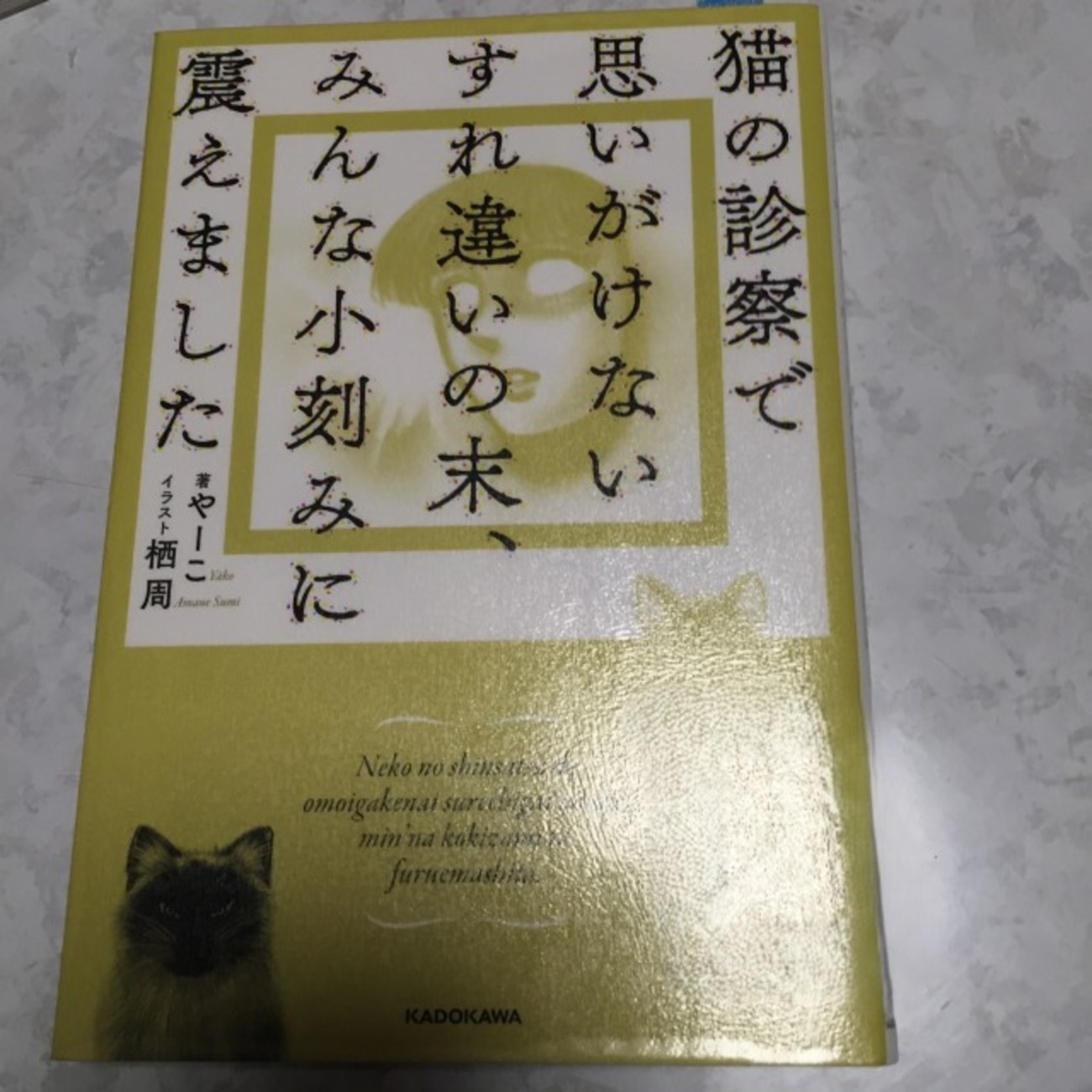 猫の診察で思いがけないすれ違いの末、みんな小刻みに震えました』 や 