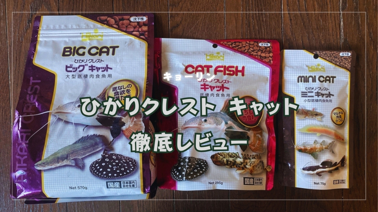 人工飼料レビュー】底もの・肉食魚の超定番「キョーリン ひかり