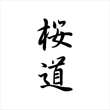 割引クーポン配布中 Pd Dixcel ディクセル 車用品 Pd プレーンディスクローター 商品番号 s Naniwaya パーツ 店