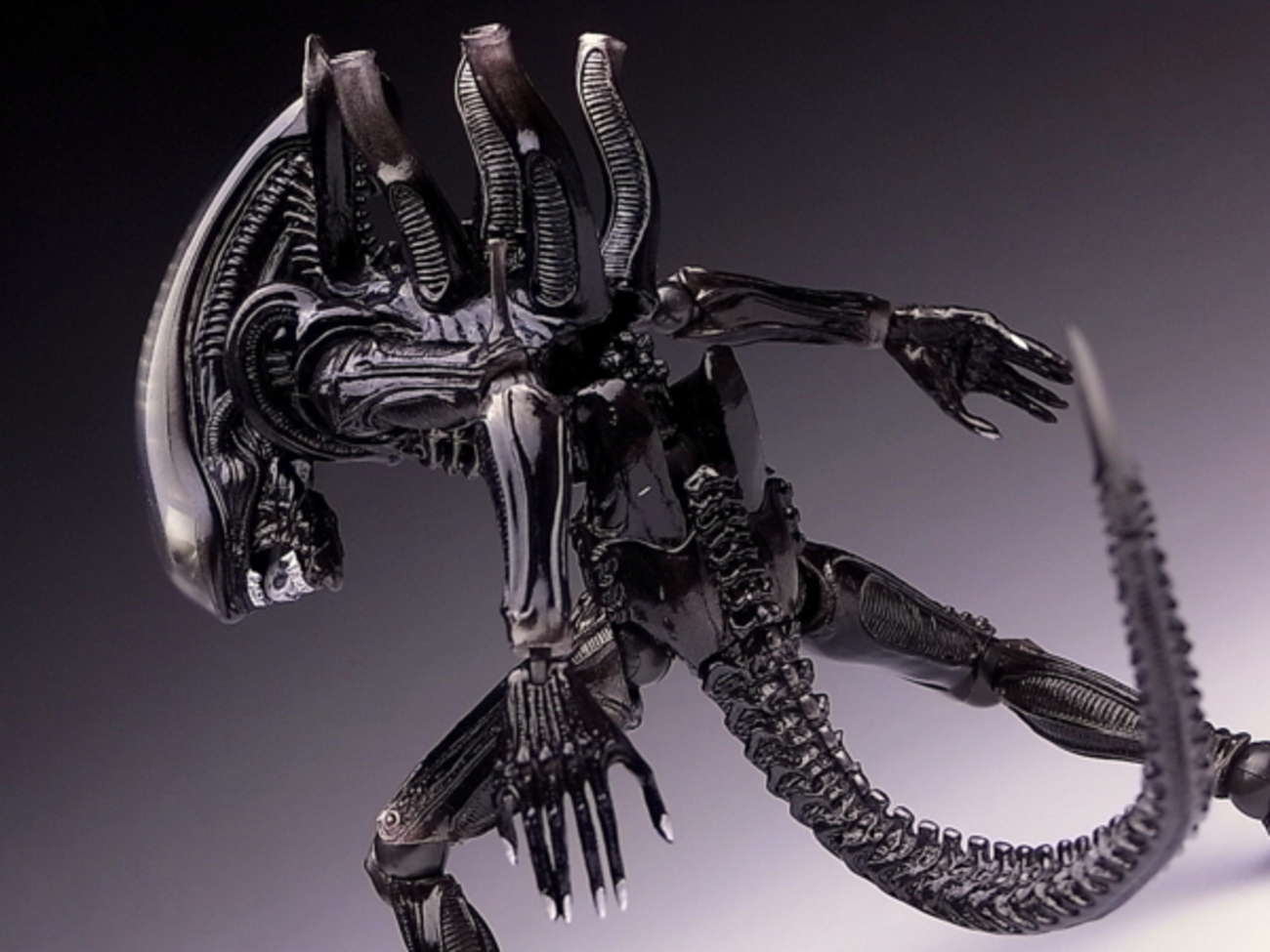 特撮リボルテック SERIES No.001 ALIEN (エイリアン) - YOの玩具箱
