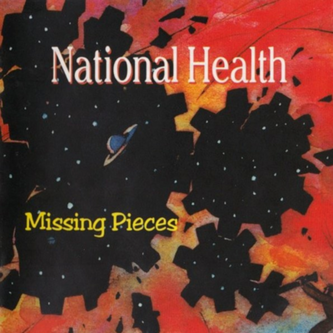 National Health 『Missing Pieces』 - 幻の猫たち 改訂版