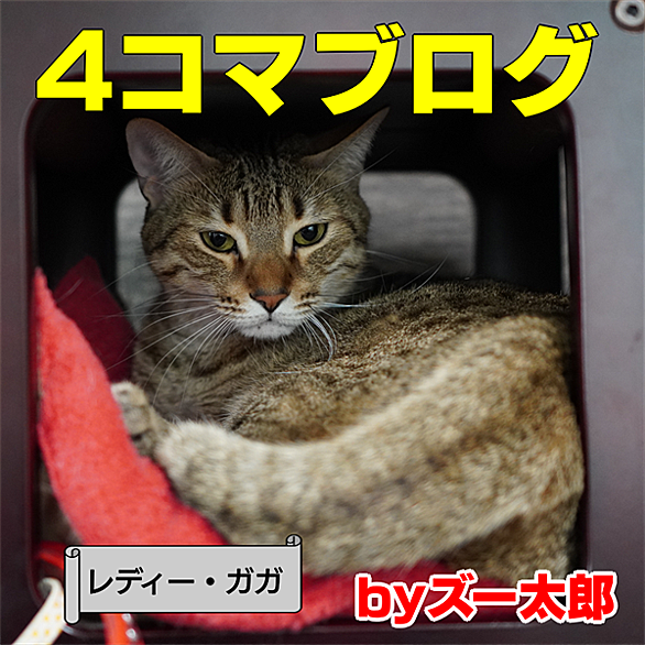 レディー ガガとは 音楽の人気 最新記事を集めました はてな レディー ガガとは 音楽の人気 最新記事を集めました はてな