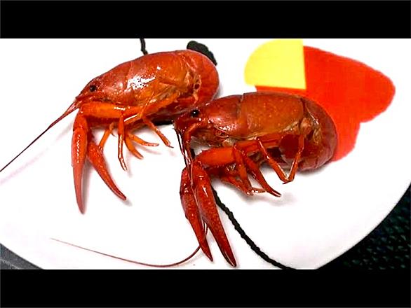 アメリカザリガニとは アートの人気 最新記事を集めました はてな アメリカザリガニとは アートの人気 最新記事を集めました はてな