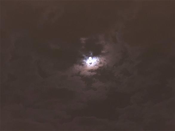 ダウンタウンなうとは テレビの人気 最新記事を集めました はてな ダウンタウンなうとは テレビの人気 最新記事を集めました はてな