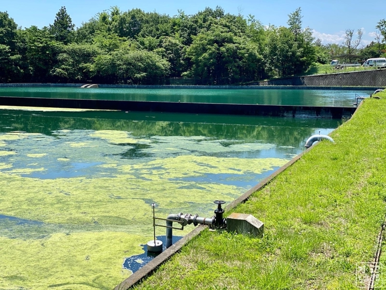 backend=imagemagick;version=1;