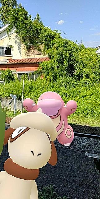 メガハッサムとは ゲームの人気 最新記事を集めました はてな