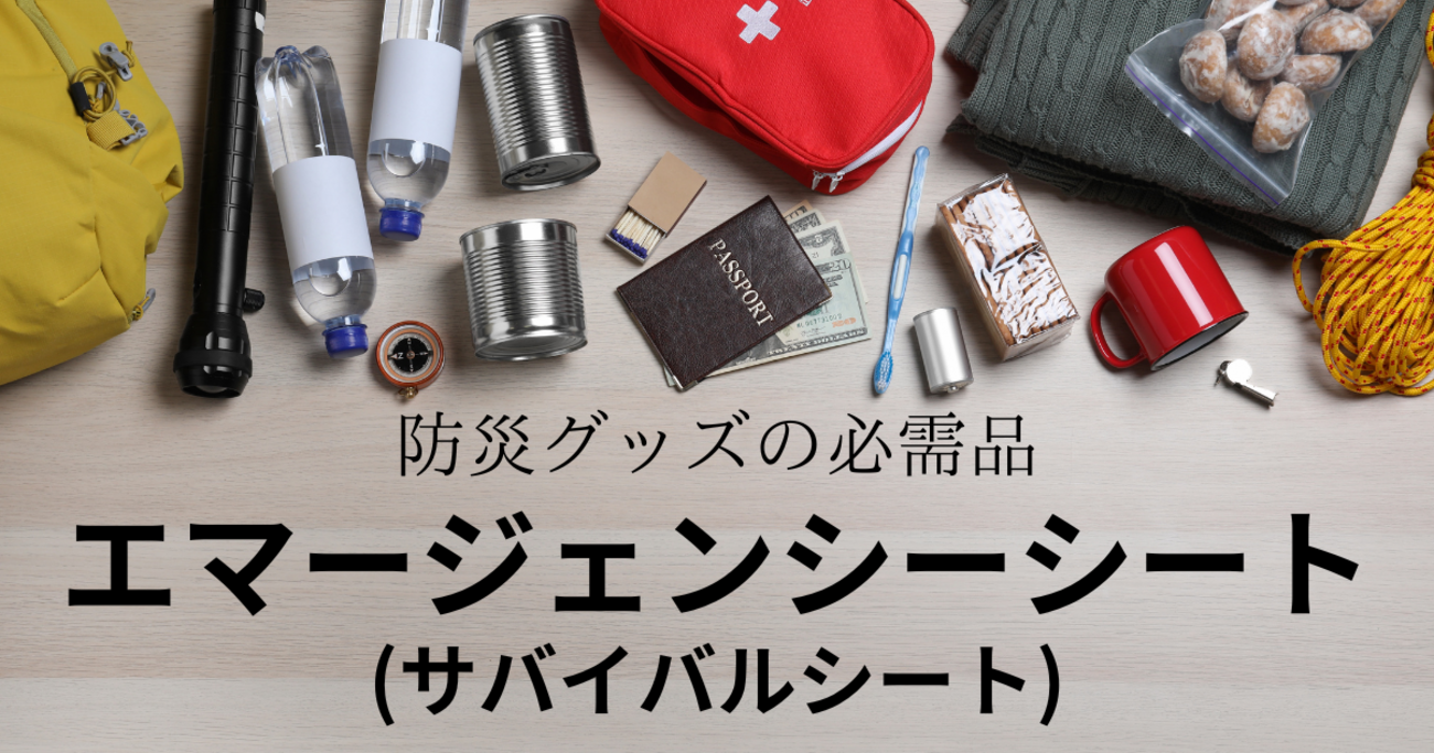 緊急時の強い味方！Eco Ride Worldの防災サバイバルシート✨購入