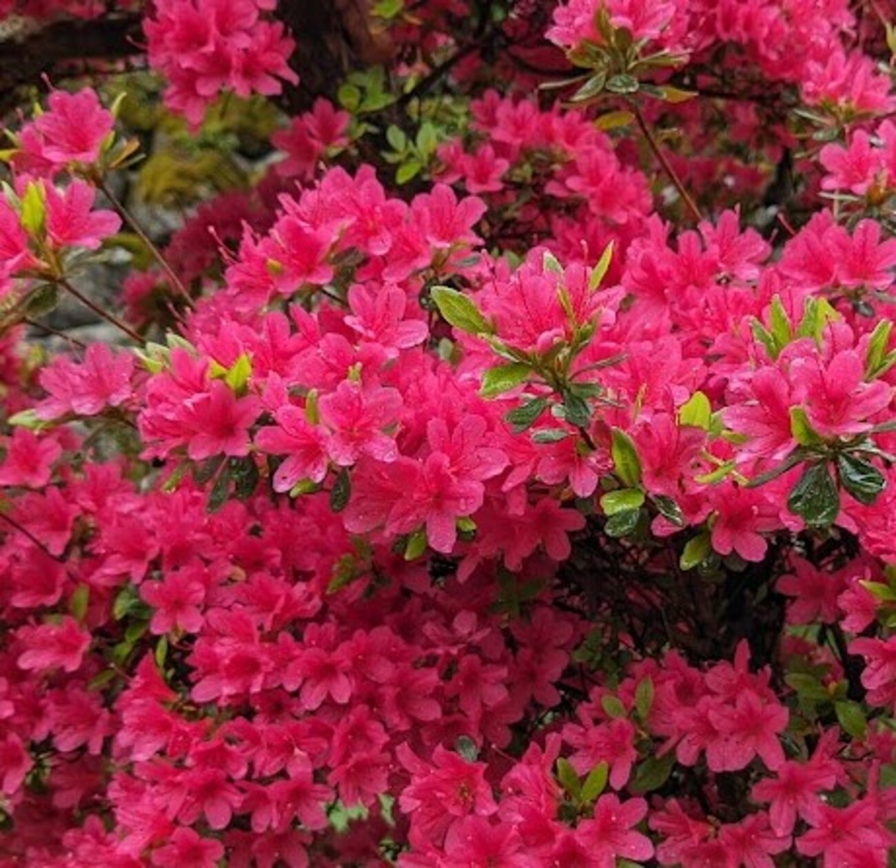 [B!] 天気には勝てん（その3） 役に立つかは別として