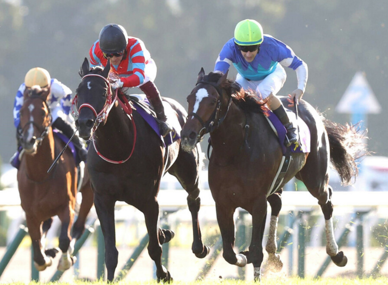 15年ぶりの快挙！コントレイルがディープインパクト以来の無敗の3冠