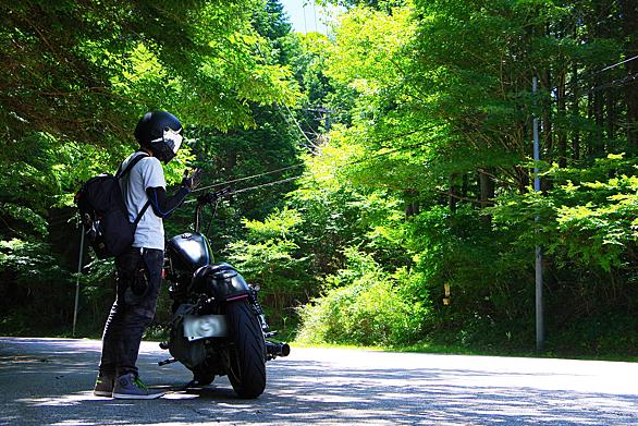 茶臼山とは 地理の人気 最新記事を集めました はてな 茶臼山とは 地理の人気 最新記事を集めました はてな