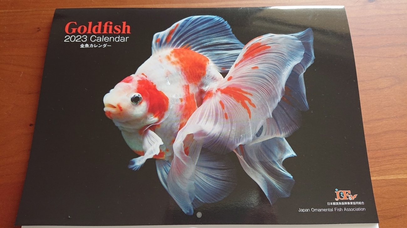 backend=imagemagick;version=1;