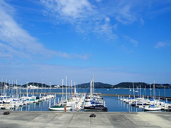 電気 辛抱 古野