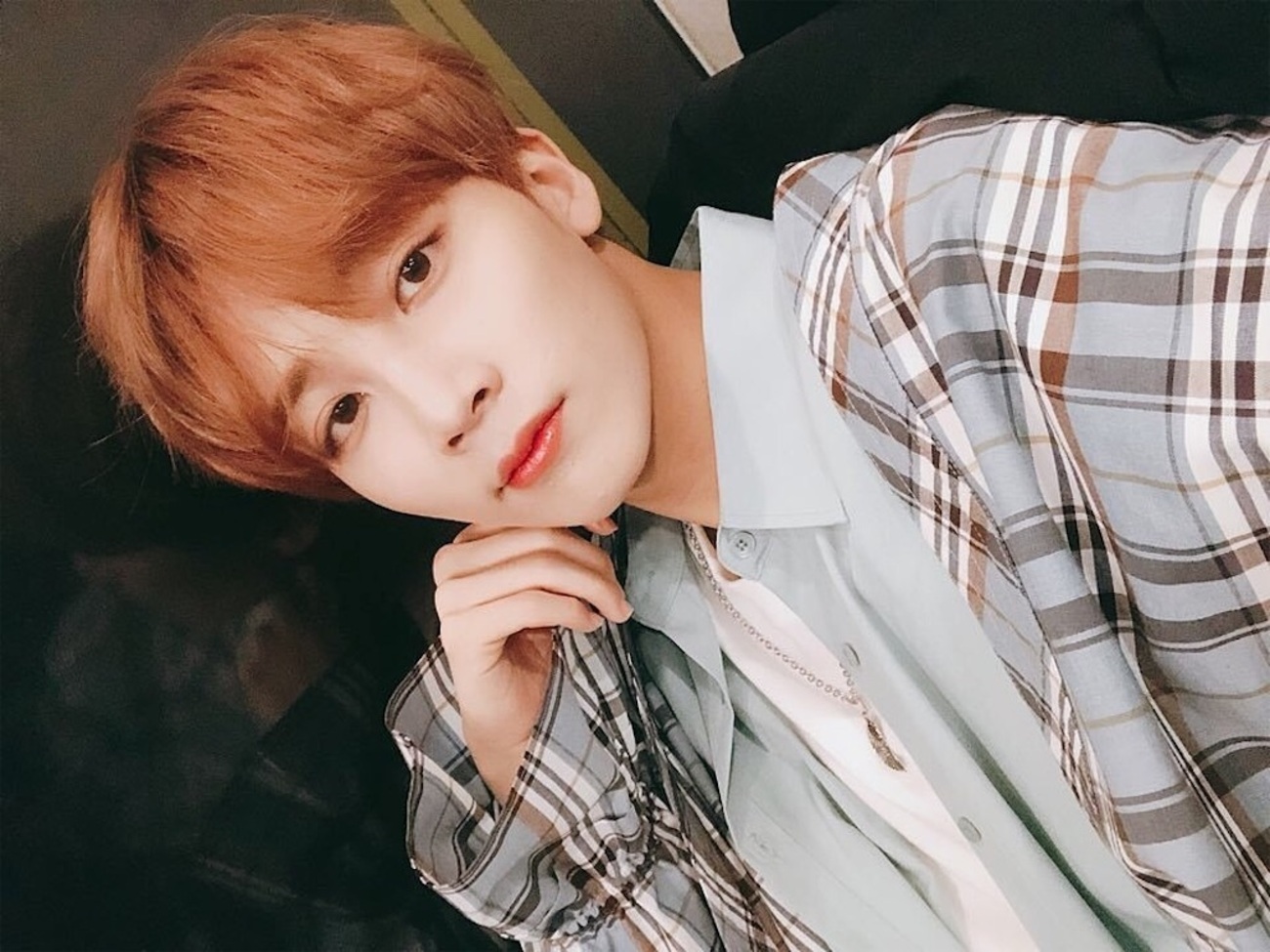 backend=imagemagick;version=1;