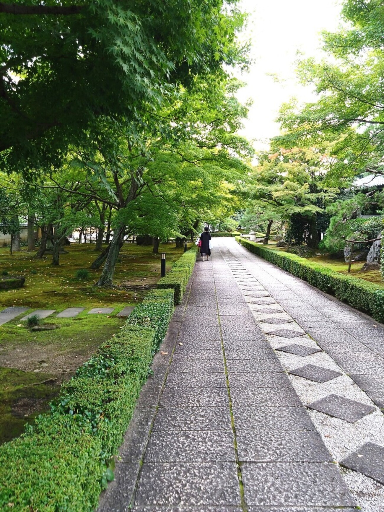 承天閣美術館「禅寺の茶の湯」 - うつわ屋 草星の “ぼやいちゃったら