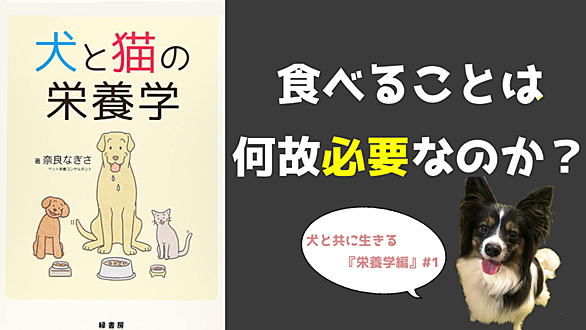 タウリンとは サイエンスの人気 最新記事を集めました はてな タウリンとは サイエンスの人気 最新記事を集めました はてな