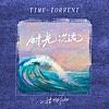 时光洪流 时光洪流