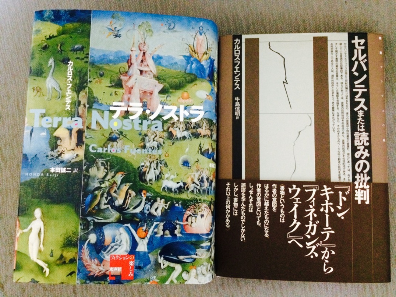 二重の円 / 唯一と多様―カルロス・フエンテス『テラ・ノストラ 