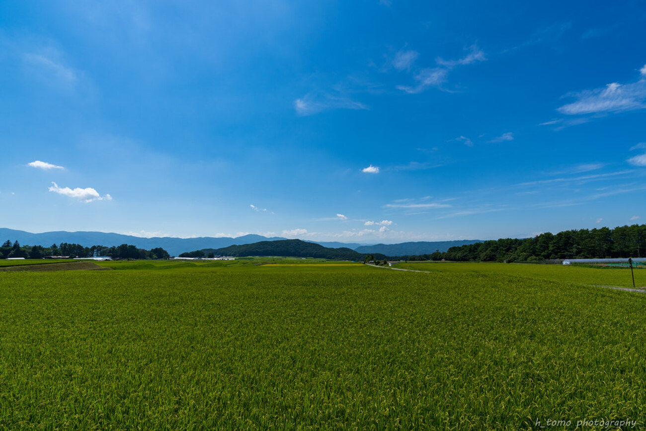 田園風景 - 写真日和