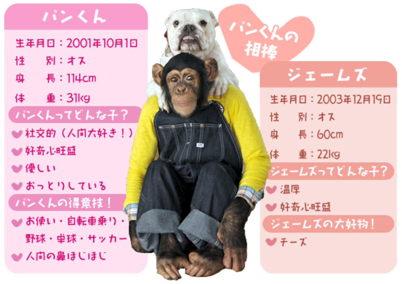 パン くん 動物園
