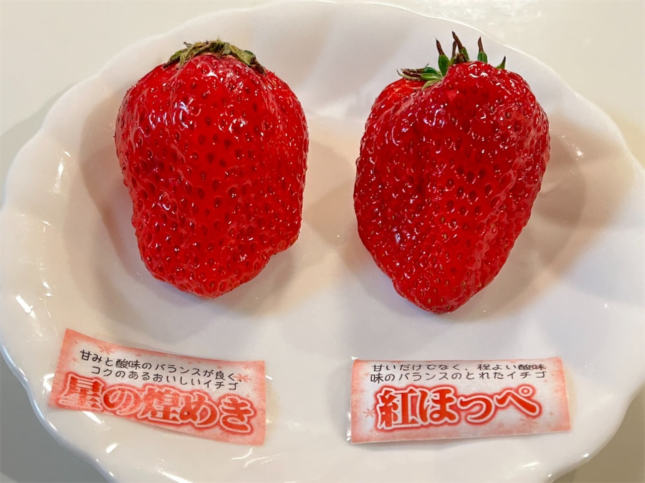 いちごひめページ odca9a449a761c060f05bab2397058